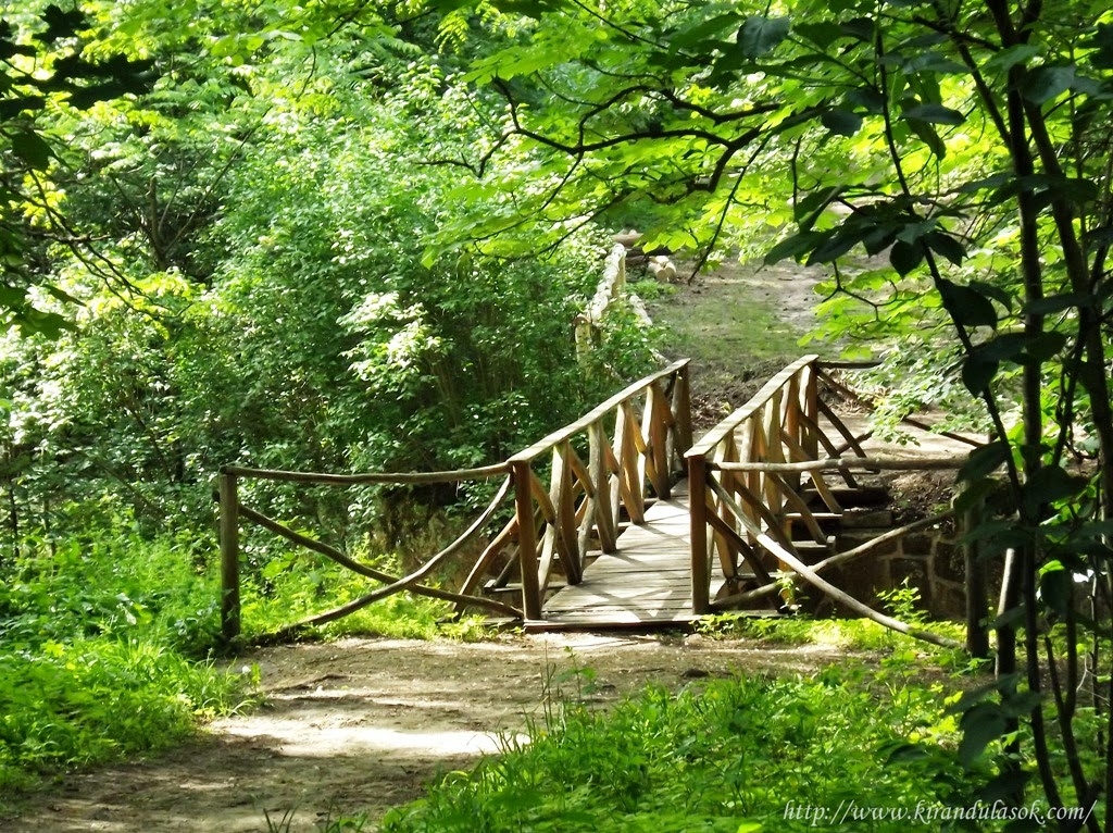 godolloi arboretum
